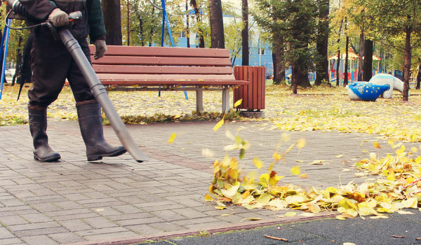 Cleaning Services